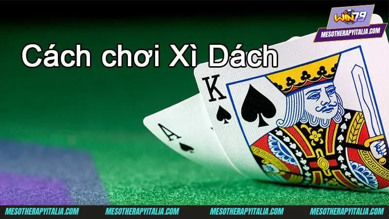 Tổng hợp các thuật ngữ trong game bài Xì Dách